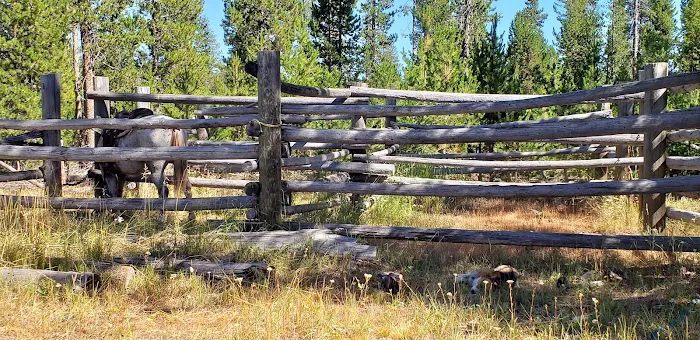 Corral Creek National Forest service campground 2