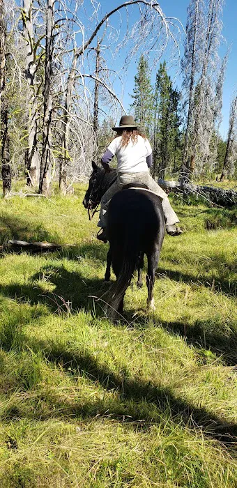 Corral Creek National Forest service campground 1