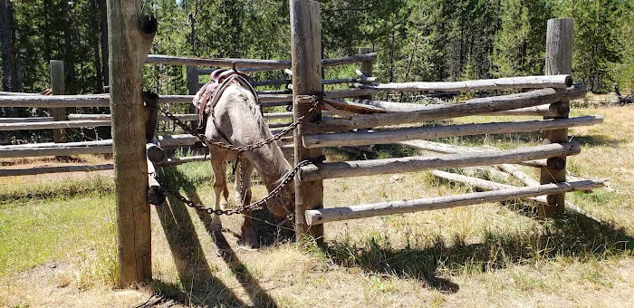 Corral Creek National Forest service campground 4