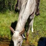 Corral Creek National Forest service campground
