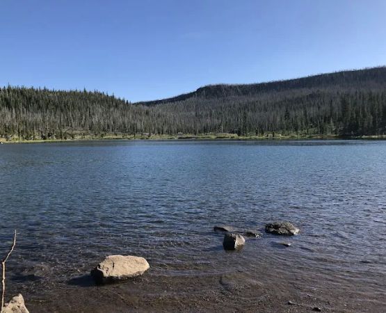 Campbell Lake Developed Campground