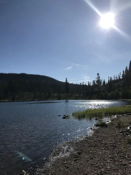 Campbell Lake Developed Campground 5