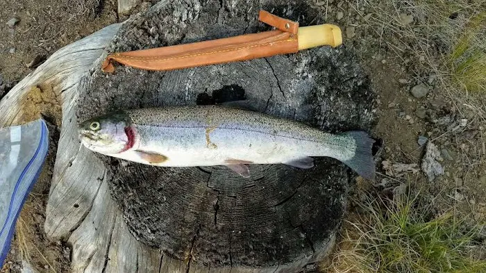 Campbell Lake Developed Campground 7