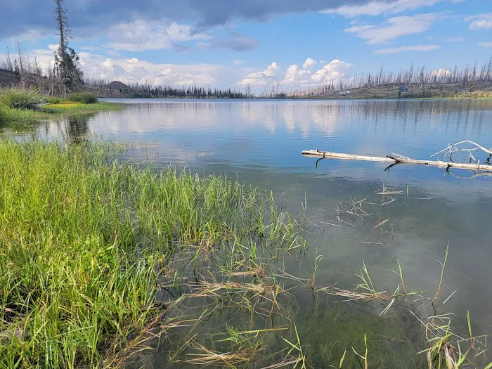 Campbell Lake Developed Campground 1