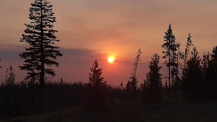 Deadhorse Lake Developed Campground 0