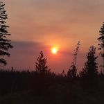 Deadhorse Lake Developed Campground