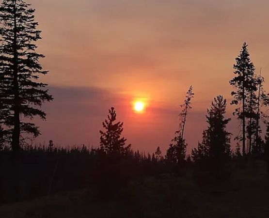 Deadhorse Lake Developed Campground