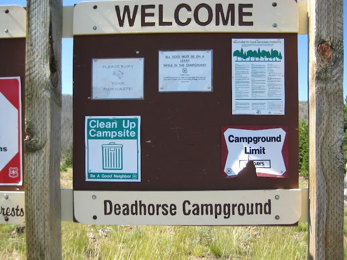 Deadhorse Lake Developed Campground 8
