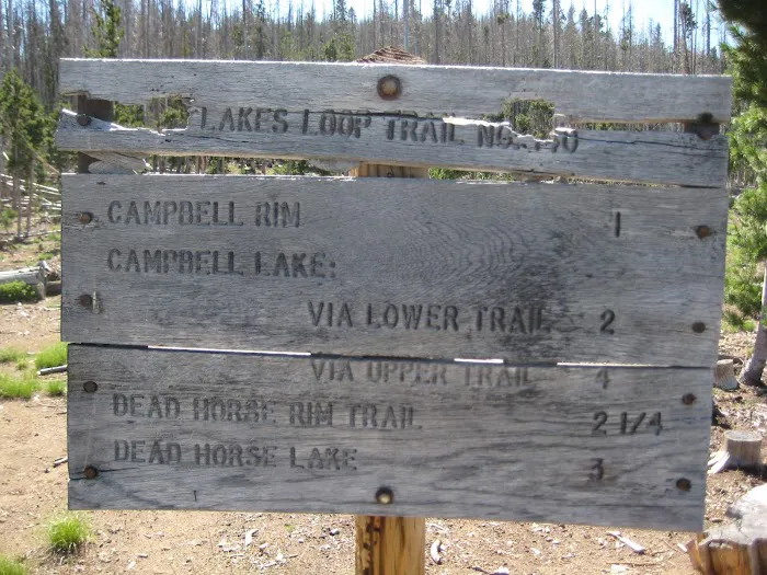 Deadhorse Lake Developed Campground 9