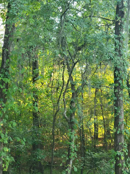 Gunter Hill Campground, Site 26 8