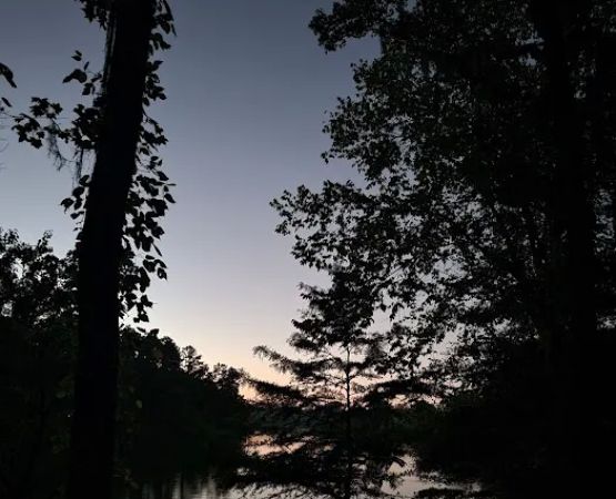 Gunter Hill Campground, Site 26