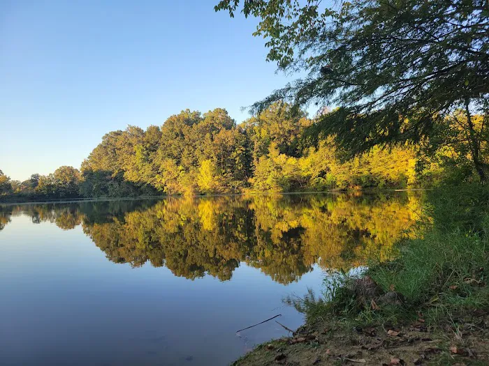 Gunter Hill Campground, Site 26 1