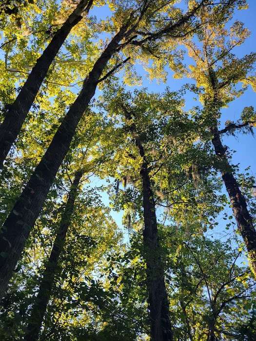 Gunter Hill Campground, Site 26 7