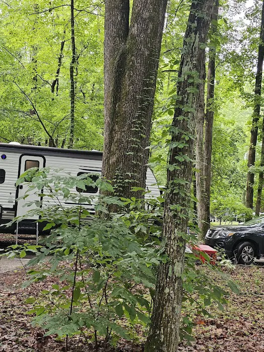 Gunter Hills Campground-Antioch Loop 6