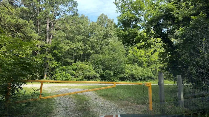 Wildlife Management Area Primitive Camping 3