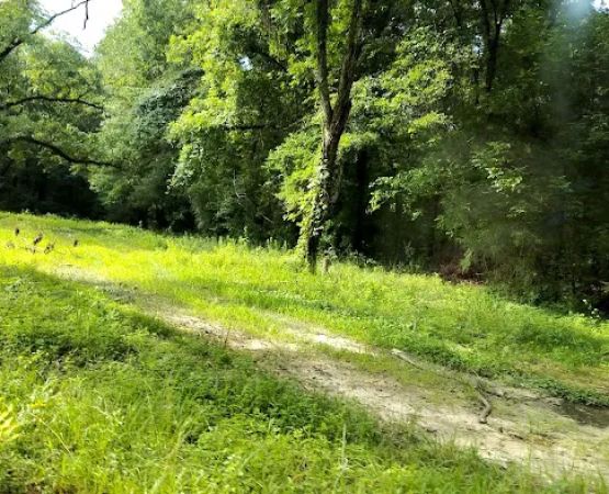 Wildlife Management Area Primitive Camping