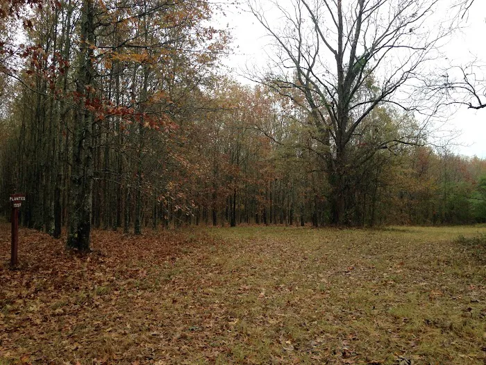 Wildlife Management Area Primitive Camping 5