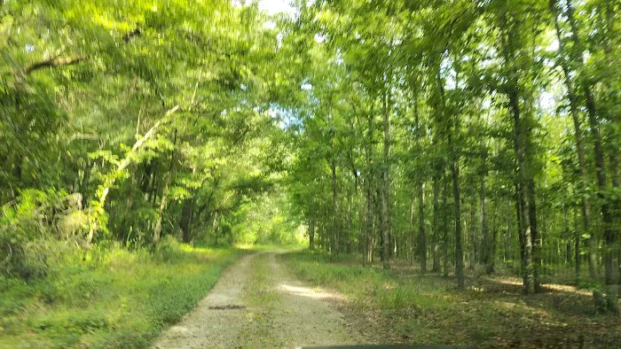Wildlife Management Area Primitive Camping 4