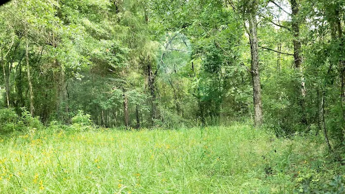 Wildlife Management Area Primitive Camping 7