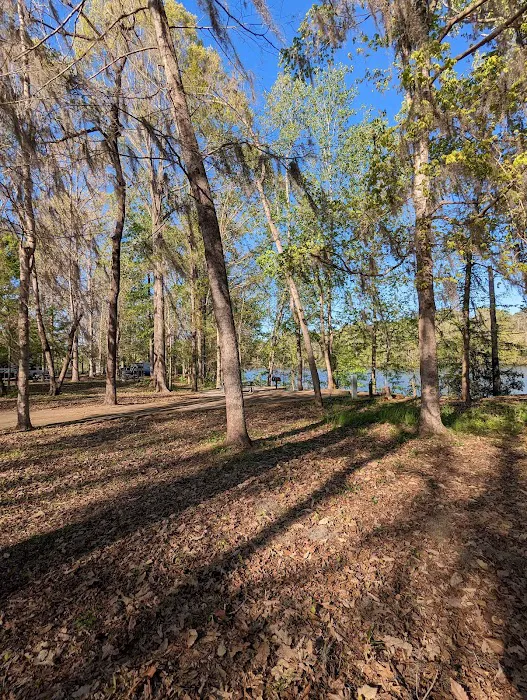 Prairie Creek Park Campgrounds 6