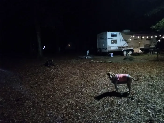 Buck Creek Campground 0