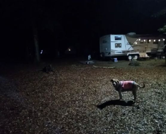 Buck Creek Campground