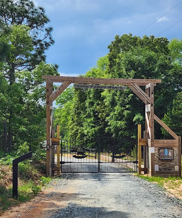 Piney Hills Campground 0