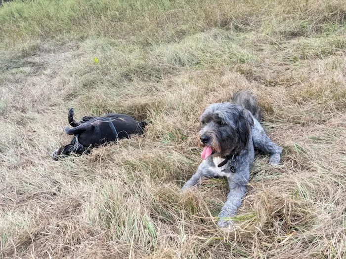 Broken Oak River Park 2