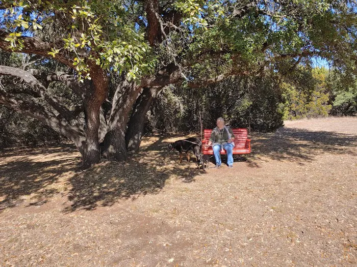 Lake Whitney Camping Resort Ramp Cabin 2 9
