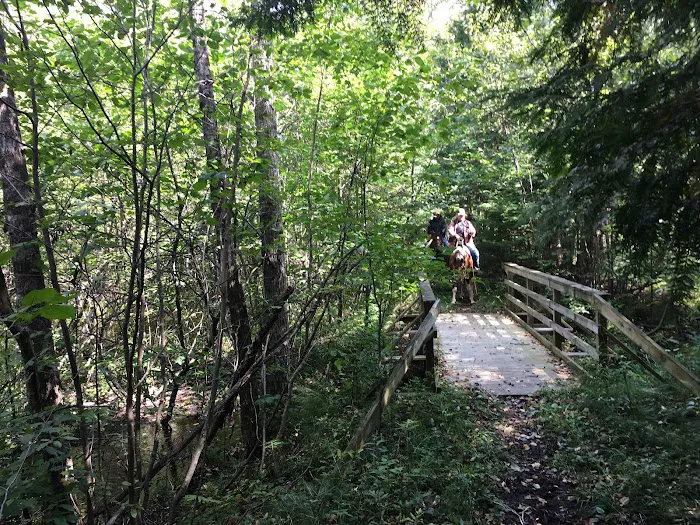 Popple Ridge Horse Campground 6