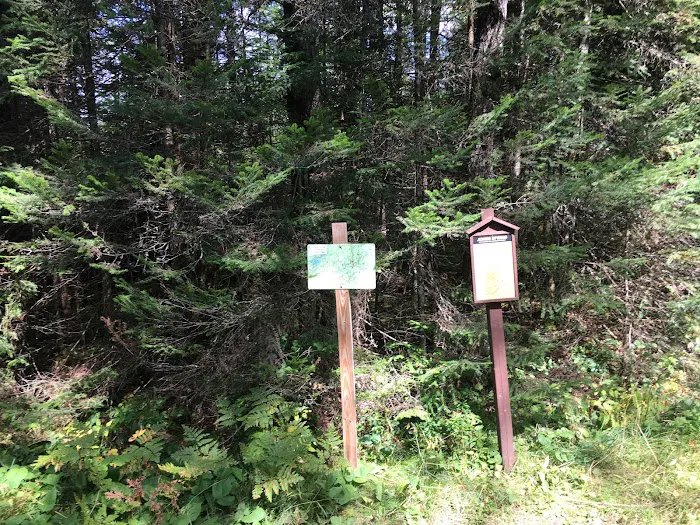 Popple Ridge Horse Campground 2