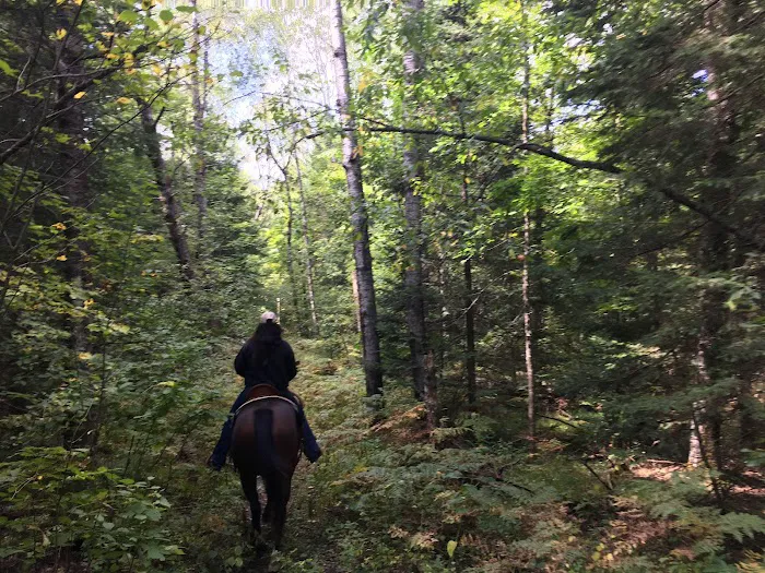 Popple Ridge Horse Campground 8