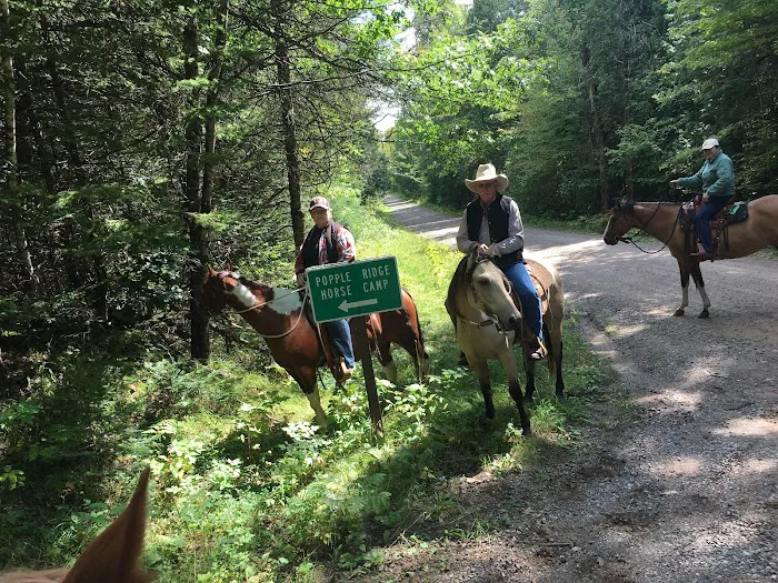 Popple Ridge Horse Campground 7