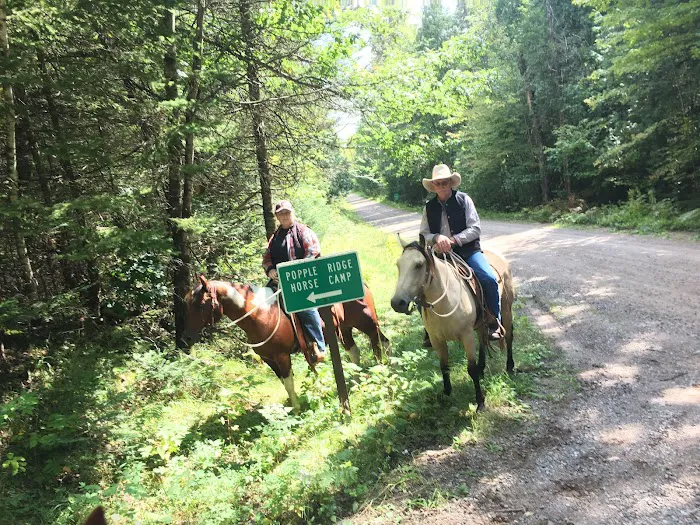Popple Ridge Horse Campground 4