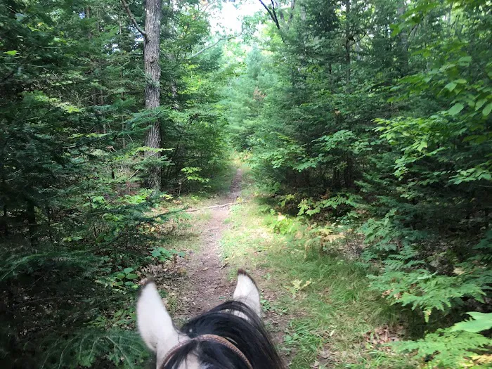 Popple Ridge Horse Campground 5