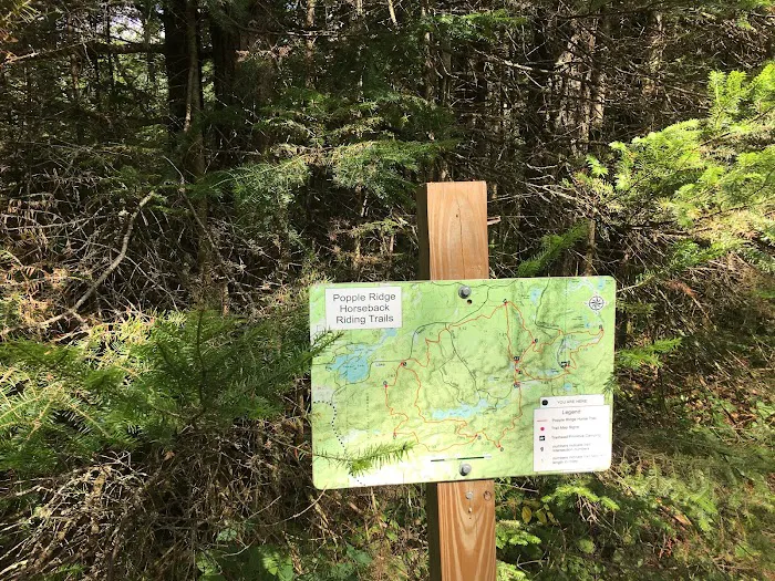 Popple Ridge Horse Campground 9