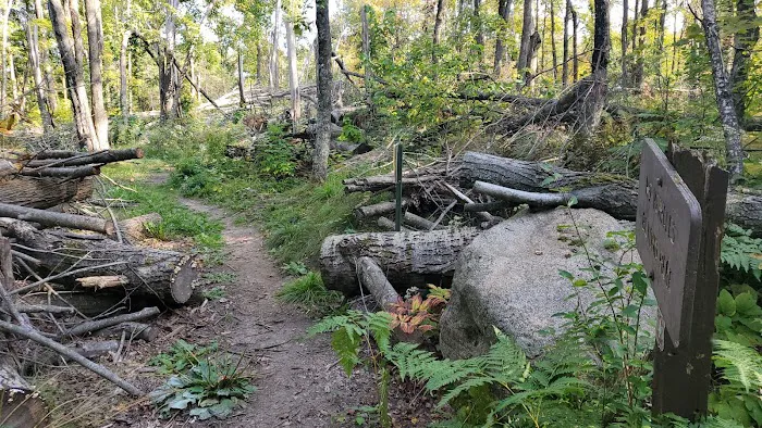 Jessie Lake Campsite 7