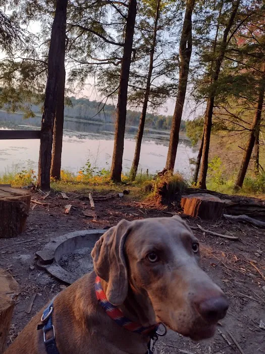 Jessie Lake Campsite 9