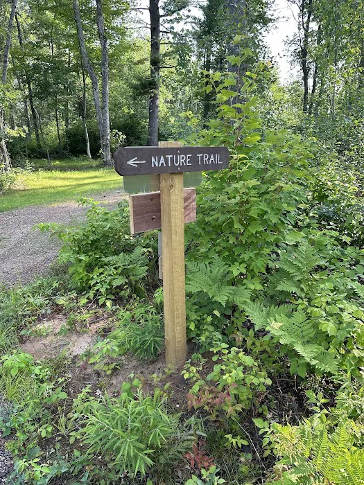 Perch Lake Campground 6