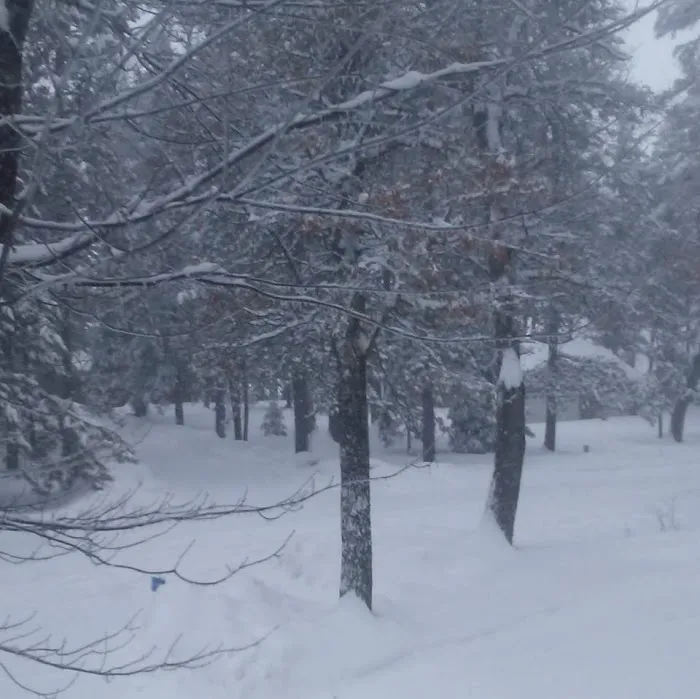 Oakridge Campgrounds 6