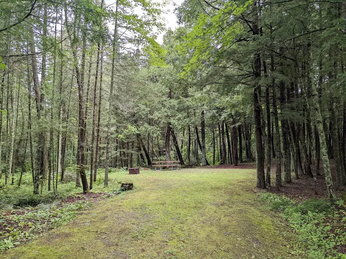 Pine Lake Campground 4