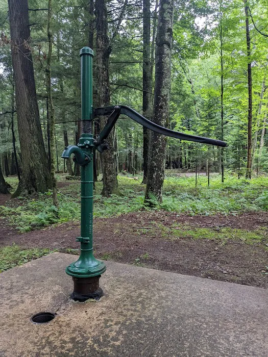 Pine Lake Campground 0