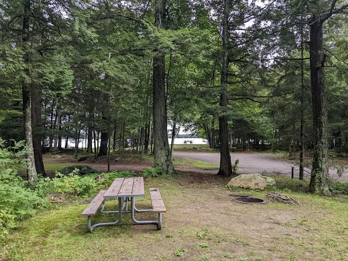 Pine Lake Campground 1