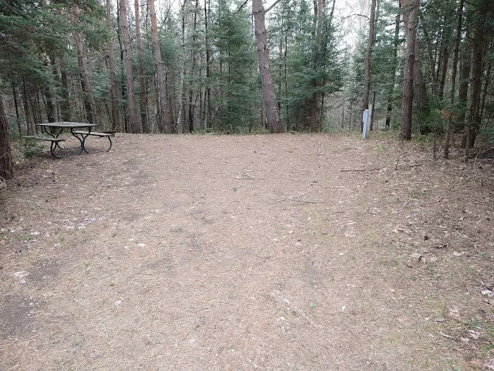 Hiles-Pine Lake Campground 5