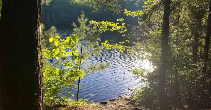 Game Lake Campsite 1