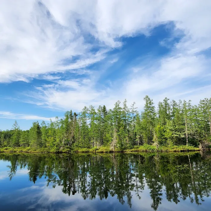 Jack Lake Campground 1