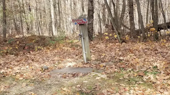 Jack Lake Campground 8
