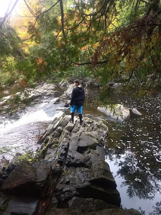 Upson Falls campground 5