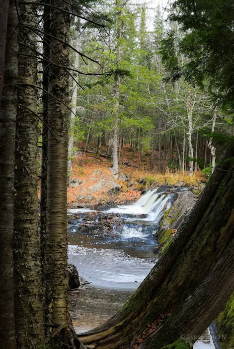 Upson Falls campground 7