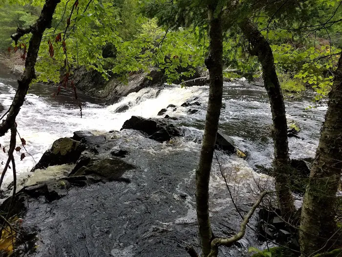 Upson Falls campground 9